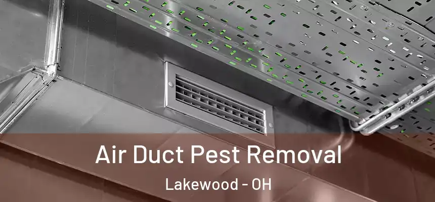  Air Duct Pest Removal Lakewood - OH