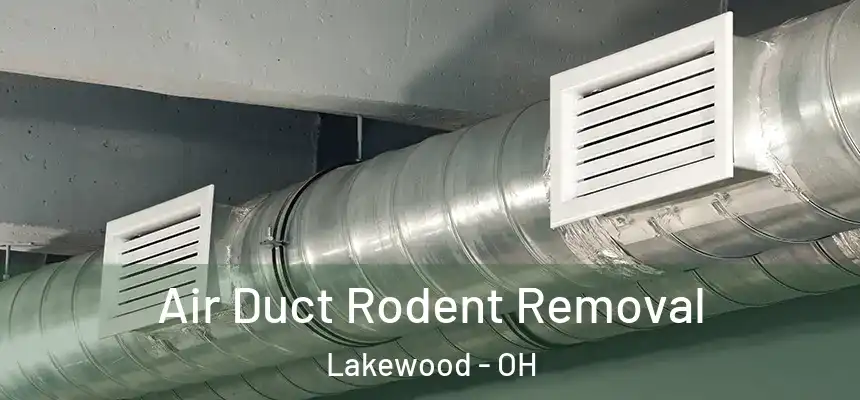  Air Duct Rodent Removal Lakewood - OH