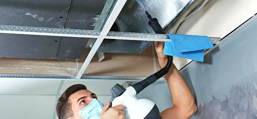Our Air Duct Rodent Removal Services in Lakewood, OH