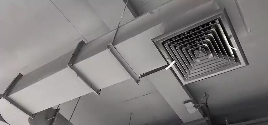 Restorative Allergy Relief Vent Cleaning – Coil, Blower & Housing Detail in Lakewood