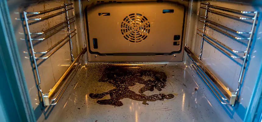 Our Dryer Vent Mold Cleaning Services in Lakewood, OH