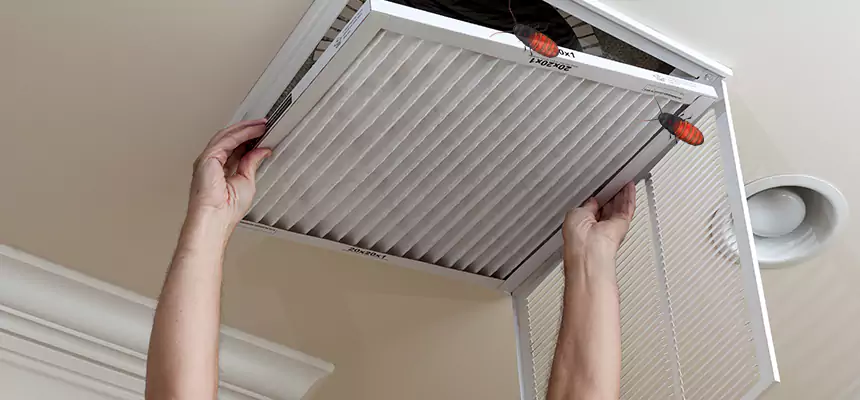 Our Insect Removal from Air Ducts Services in Lakewood, OH