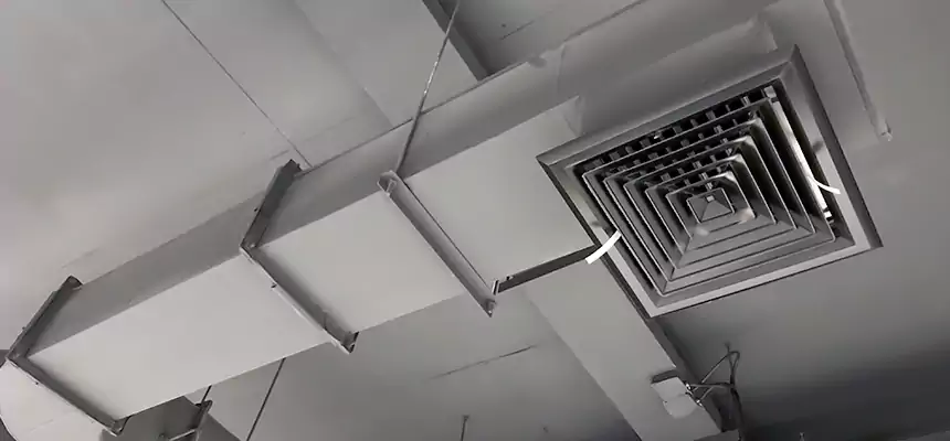 Our Pest Removal From Ducts Services in Lakewood, OH