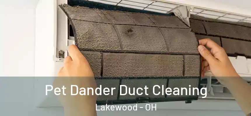  Pet Dander Duct Cleaning Lakewood - OH