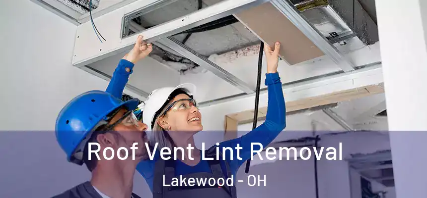  Roof Vent Lint Removal Lakewood - OH
