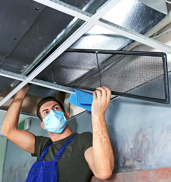 About Air Duct Bacteria Removal in Lakewood
