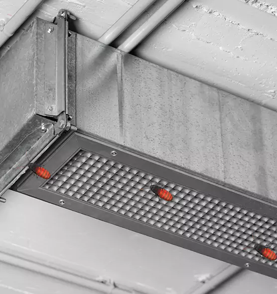 About Air Duct Cockroach Removal in Lakewood, OH