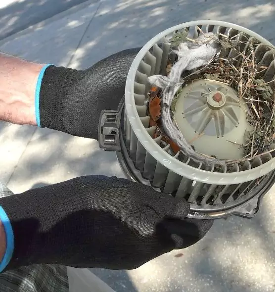 About Air Duct Mice Removal in Lakewood, OH