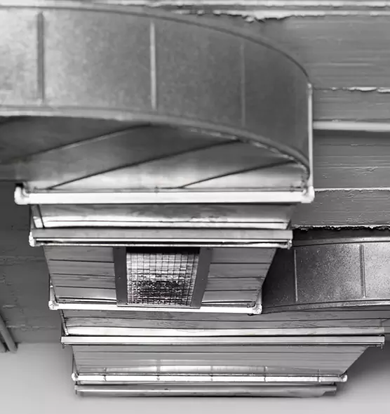 Professional Air Duct Pest Removal in Lakewood, OH